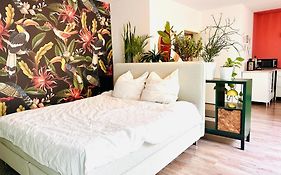Paradiesvogel - Zentral gelegenes Apartment in Paderborn Zentrum